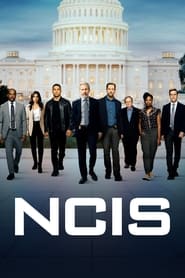 NCIS Season 22 Episode 13