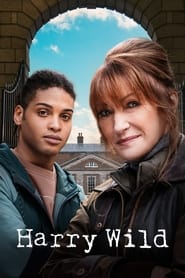 Harry Wild Season 4 Episode 4