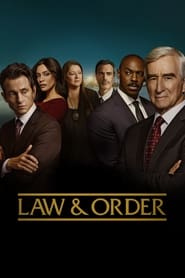 Law & Order Season 24 Episode 19