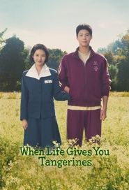 When Life Gives You Tangerines Season 1 Episode 12